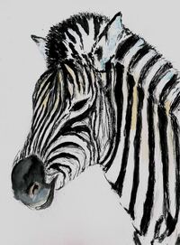 Zebra 23.10.2016 001